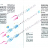 K 1988-ME5000----p