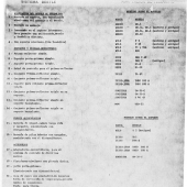 REGO 1979-BEETLE-g