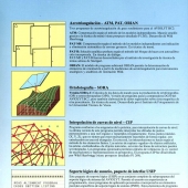 W 1985-AVIOLYT-BC2-p