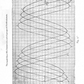 MIER 1908-MIER-g